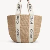 Bolso-cesta-chloe