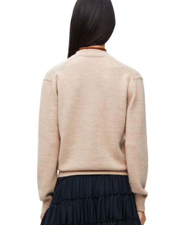 JERSEY LOEWE REBAJAS
