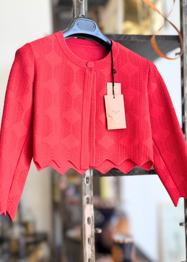 cardigan alaia
